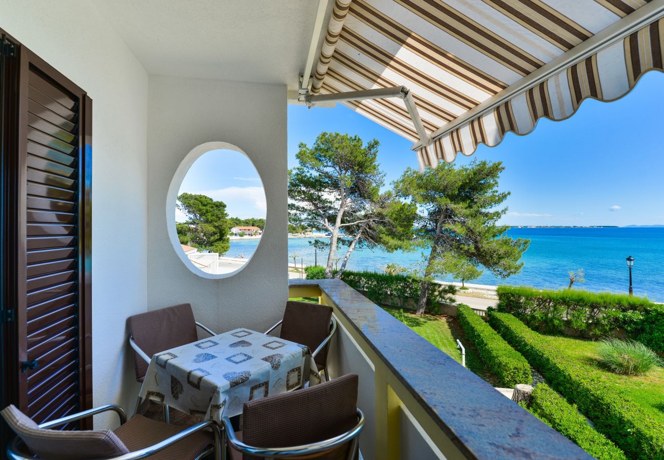 Apartment in Vir - Beachfront apartment Liverić 5