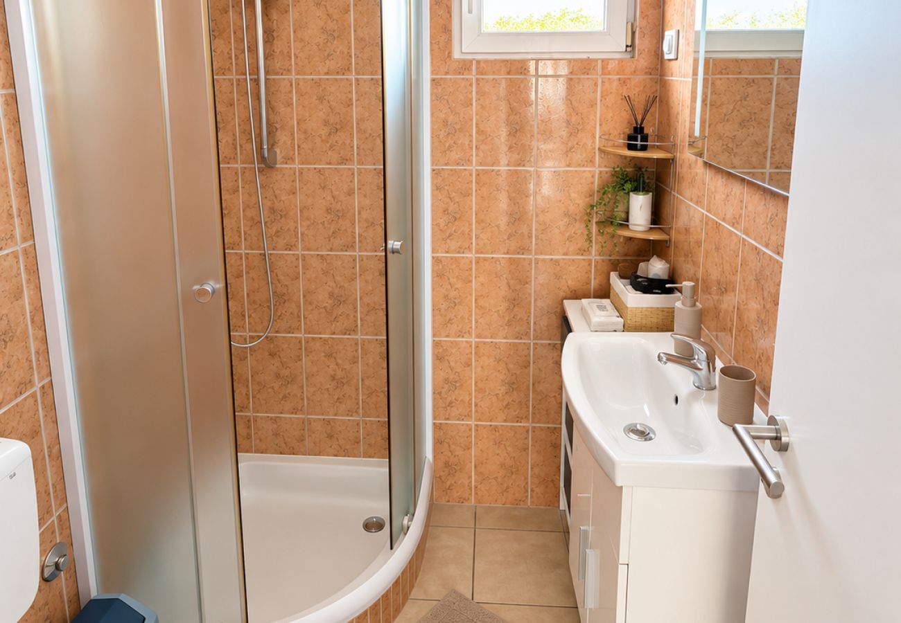 Apartment in Ražanac - Apartment Didovi Dvori 1 with jacuzzi
