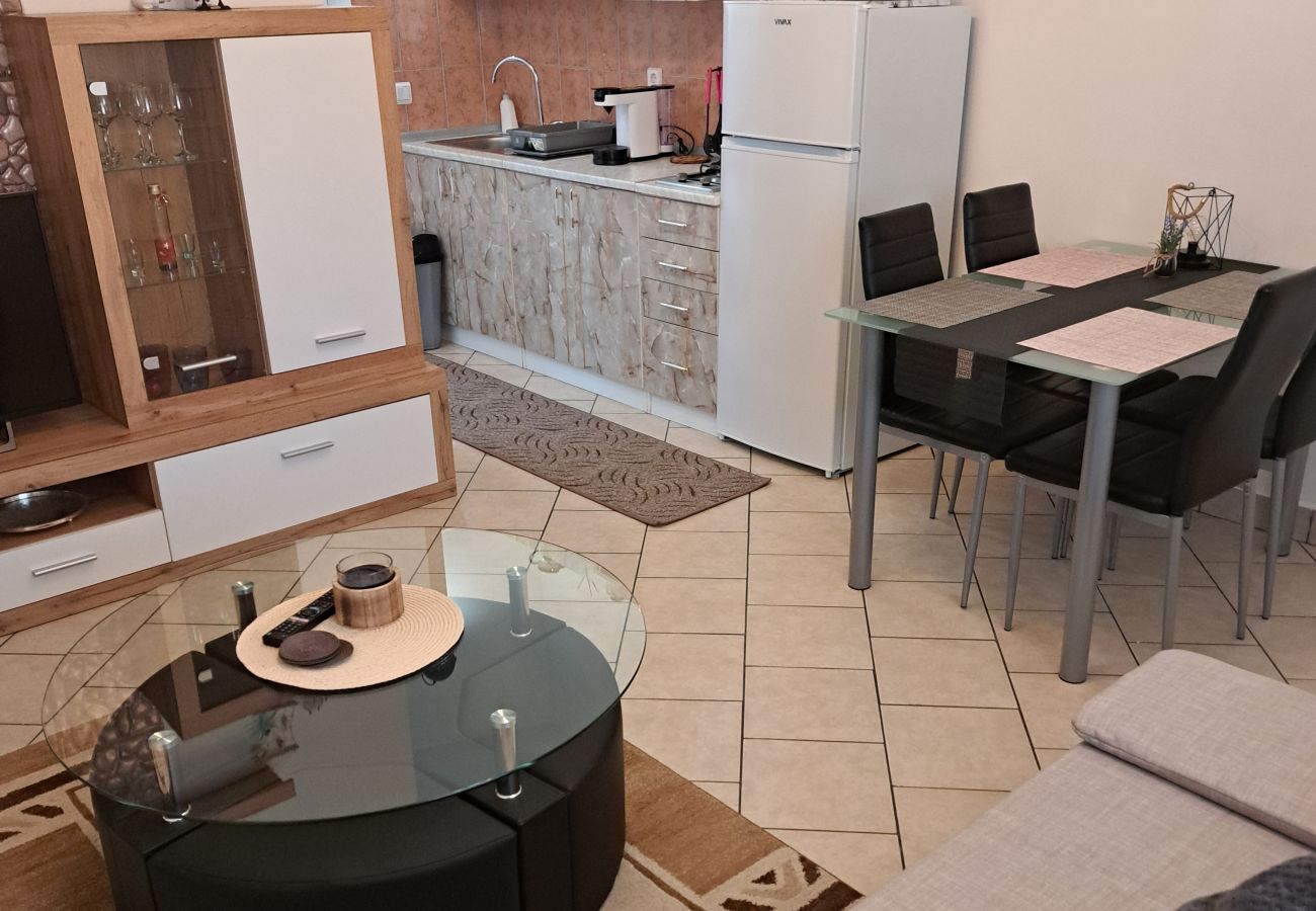 Apartment in Ražanac - Apartment Sany 2 with jacuzzi
