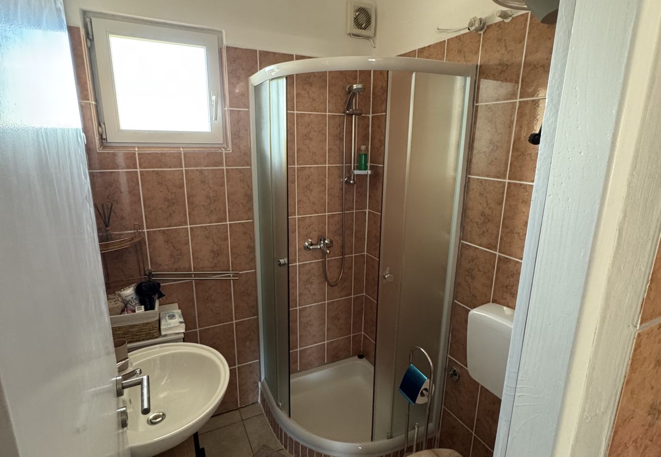 Apartment in Ražanac - Apartment Didovi Dvori 2 with jacuzzi