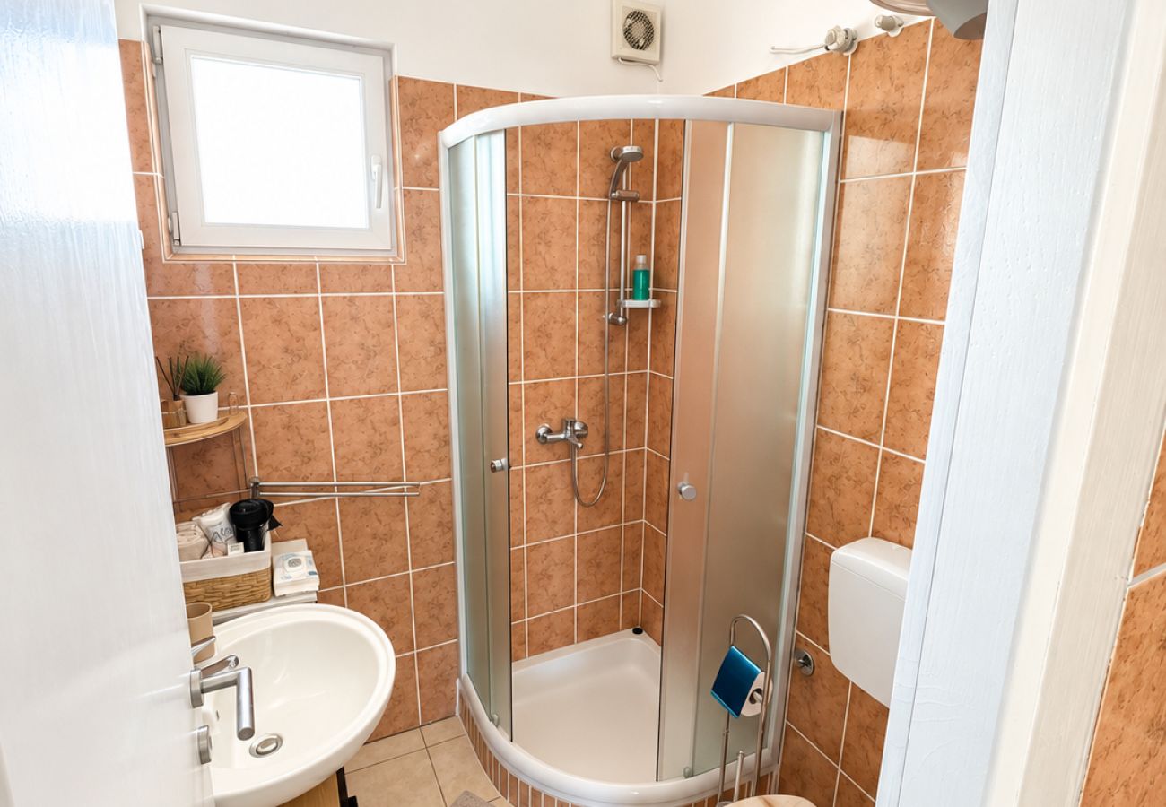 Apartment in Ražanac - Apartment Didovi Dvori 2 with jacuzzi