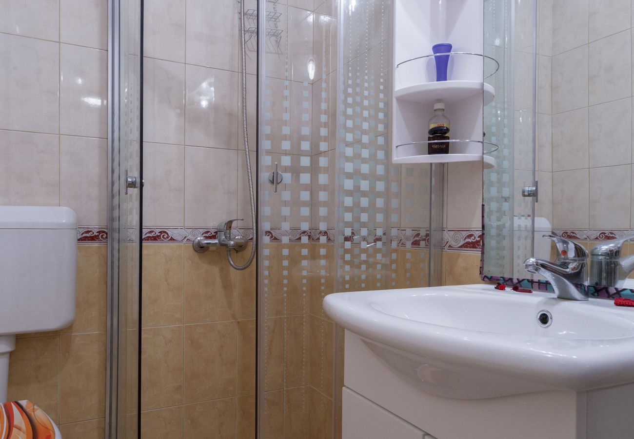 Apartment in Bibinje - Oldtown apartment Apola 1