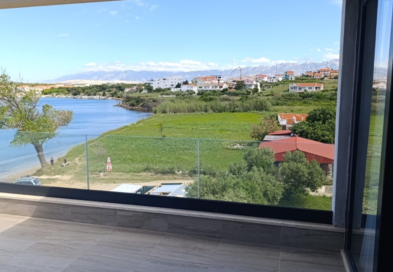 Apartment in Povljana - Beachfront penthouse Pearl