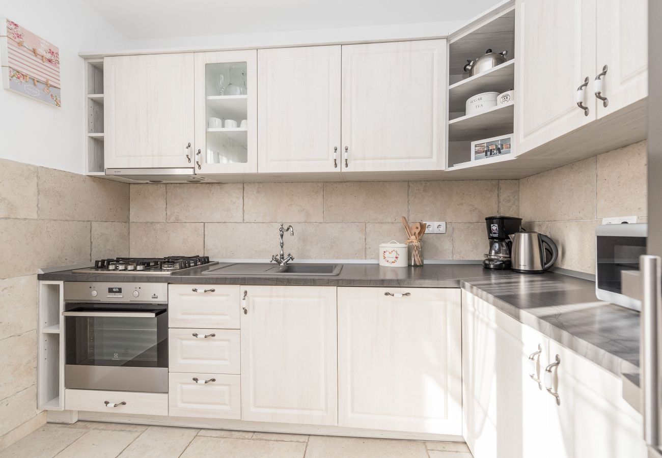 Villa in Privlaka - Villa Edena with heated pool