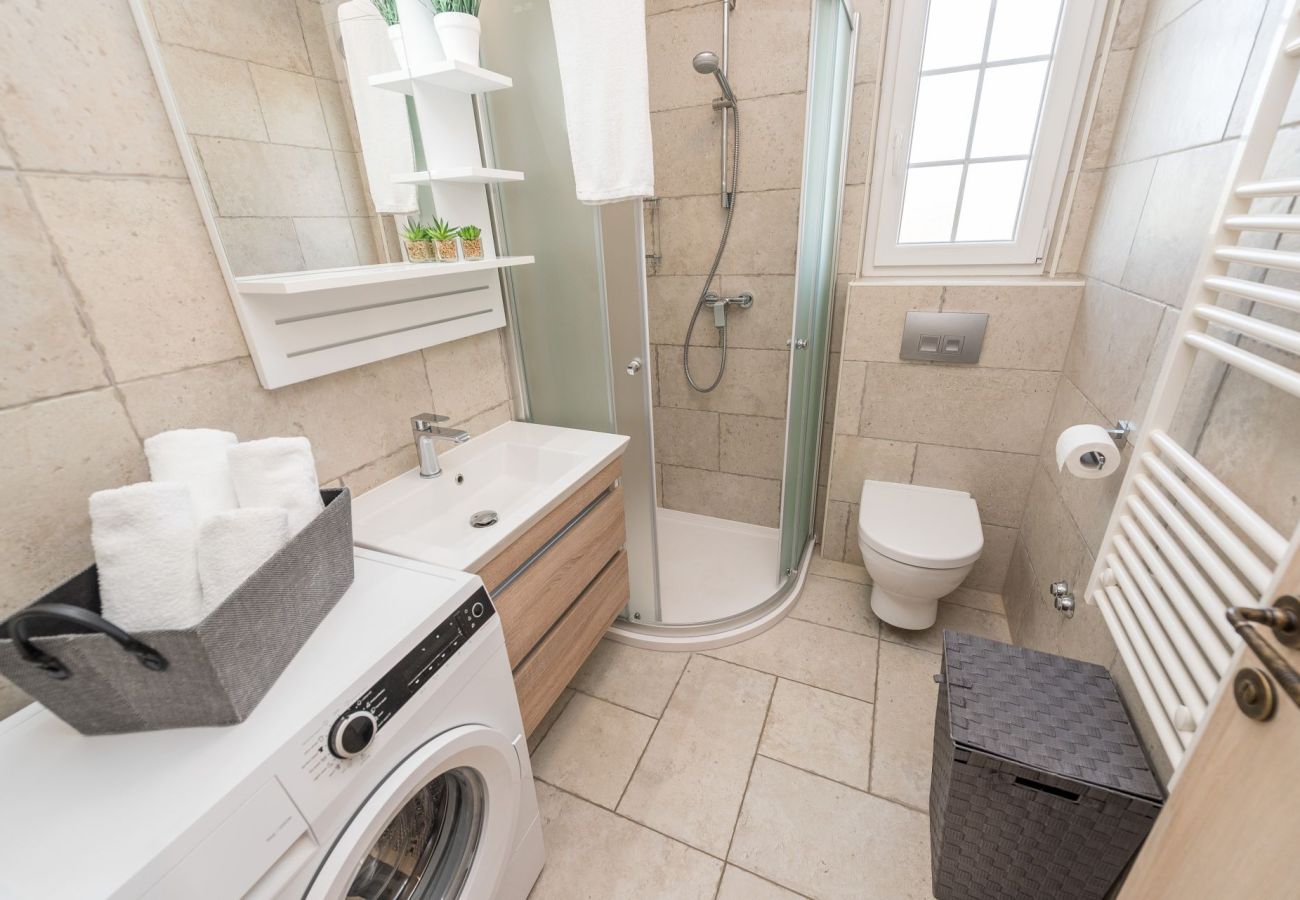 Villa in Privlaka - Villa Edena with heated pool