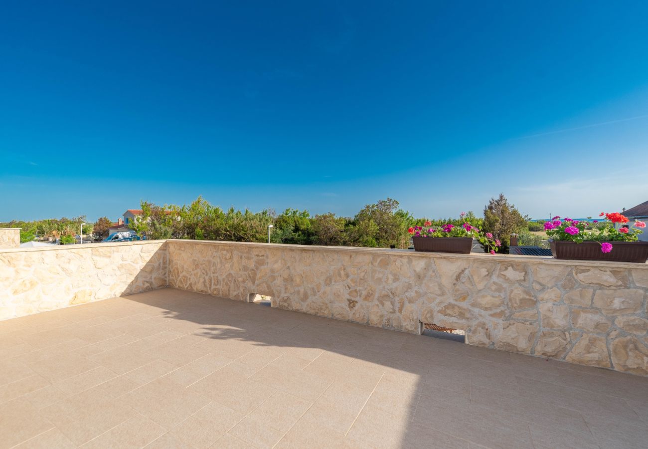 Villa in Privlaka - Villa Edena with heated pool