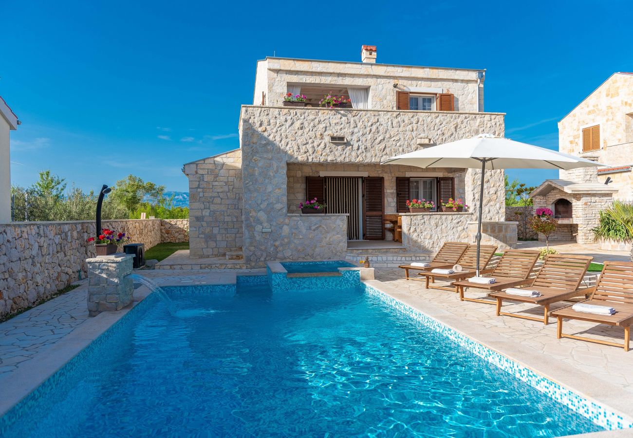 Villa in Privlaka - Villa Edena with heated pool