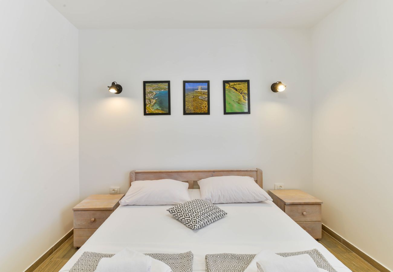 Villa in Privlaka - Villa Carnela with heated pool