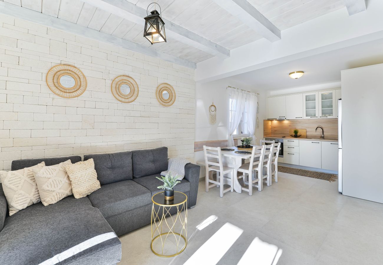 Villa in Privlaka - Villa Carnela with heated pool