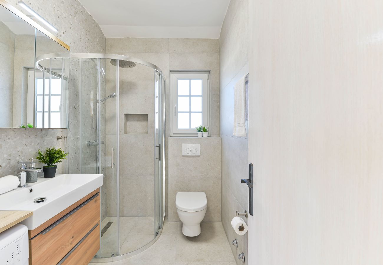 Villa in Privlaka - Villa Carnela with heated pool