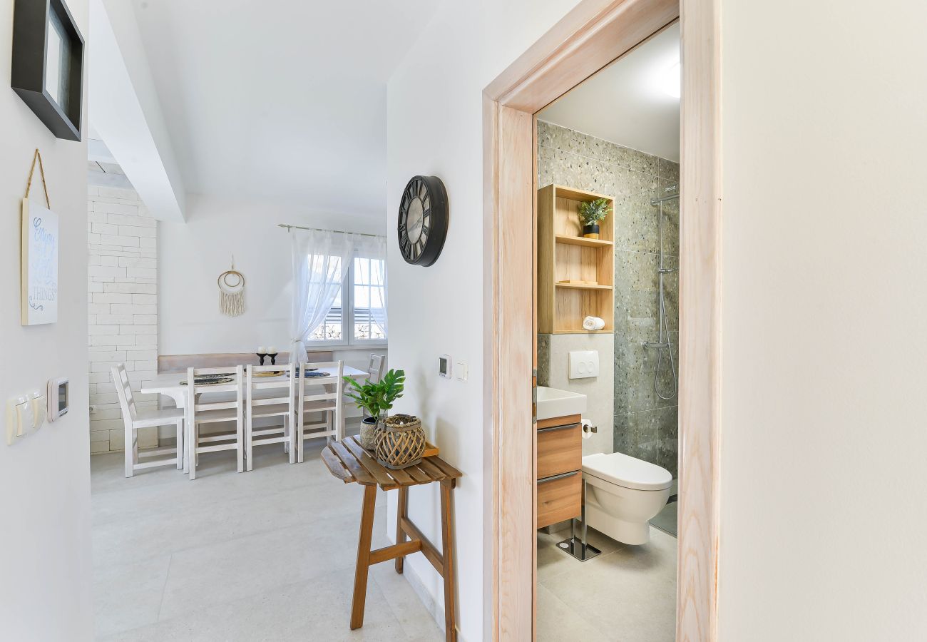 Villa in Privlaka - Villa Carnela with heated pool