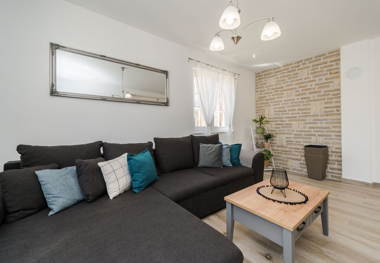 Villa in Privlaka - Villa Rea 1 with heated pool