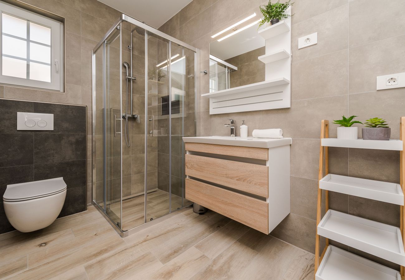 Villa in Privlaka - Villa Rea 1 with heated pool