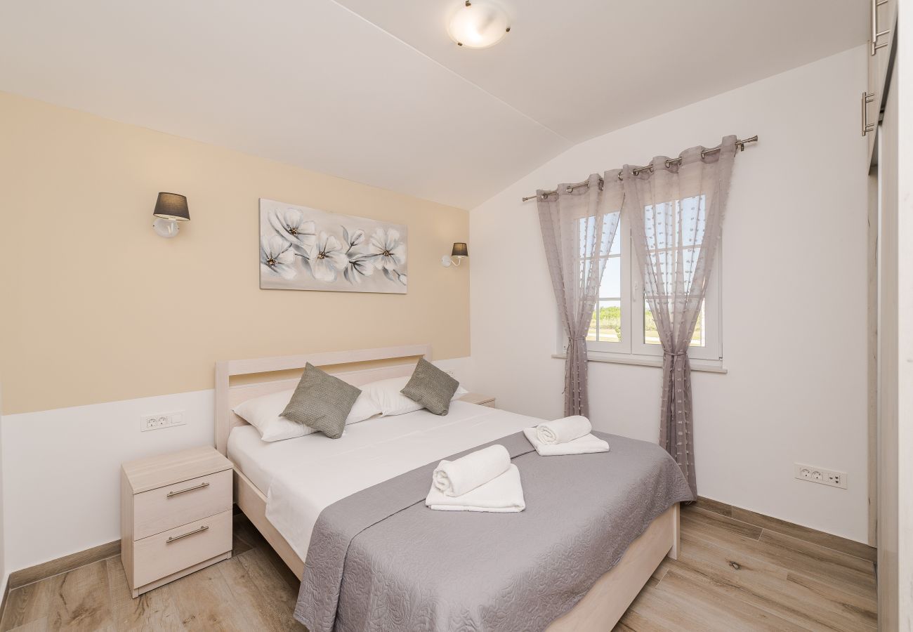 Villa in Privlaka - Villa Rea 1 with heated pool