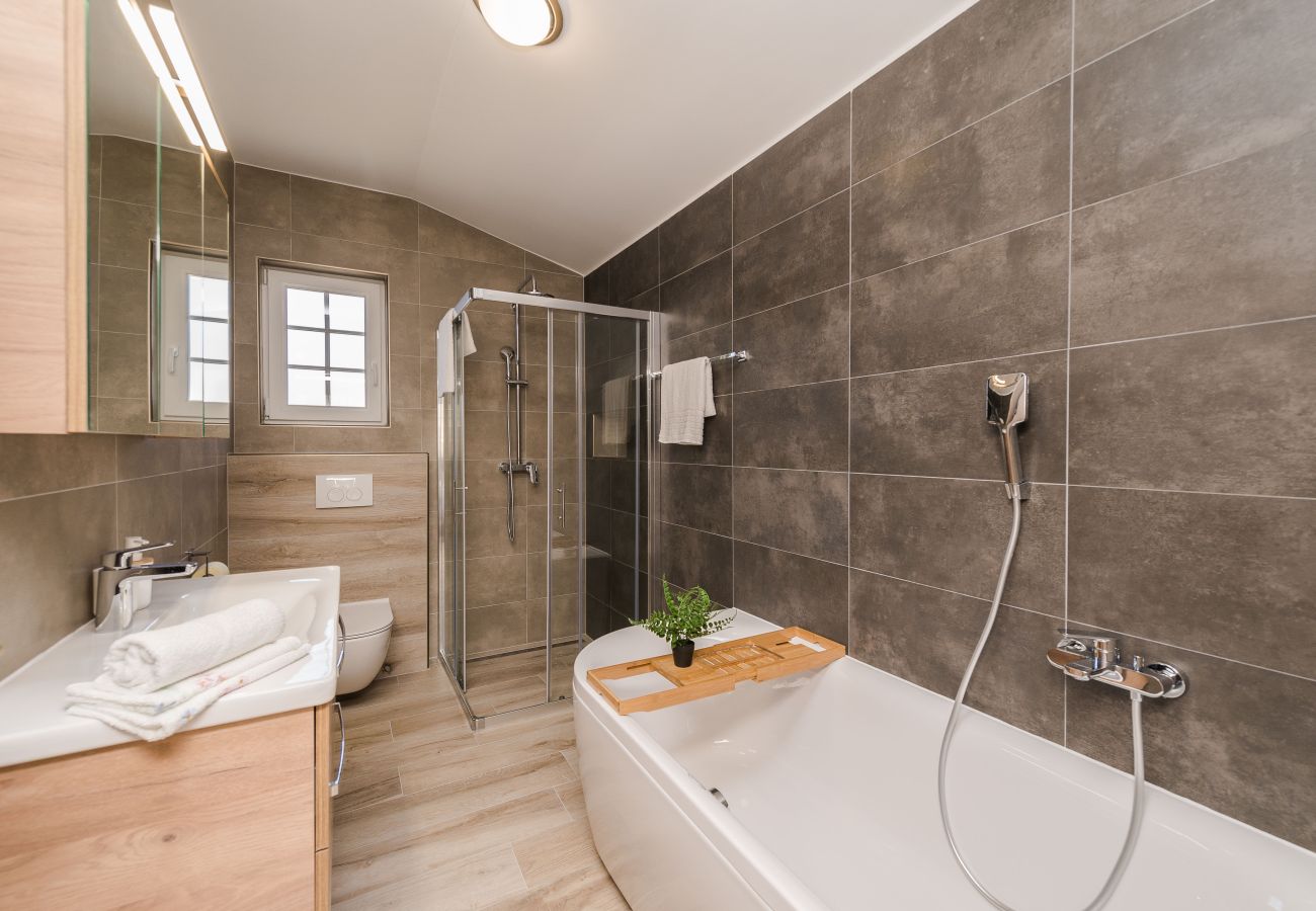 Villa in Privlaka - Villa Rea 1 with heated pool