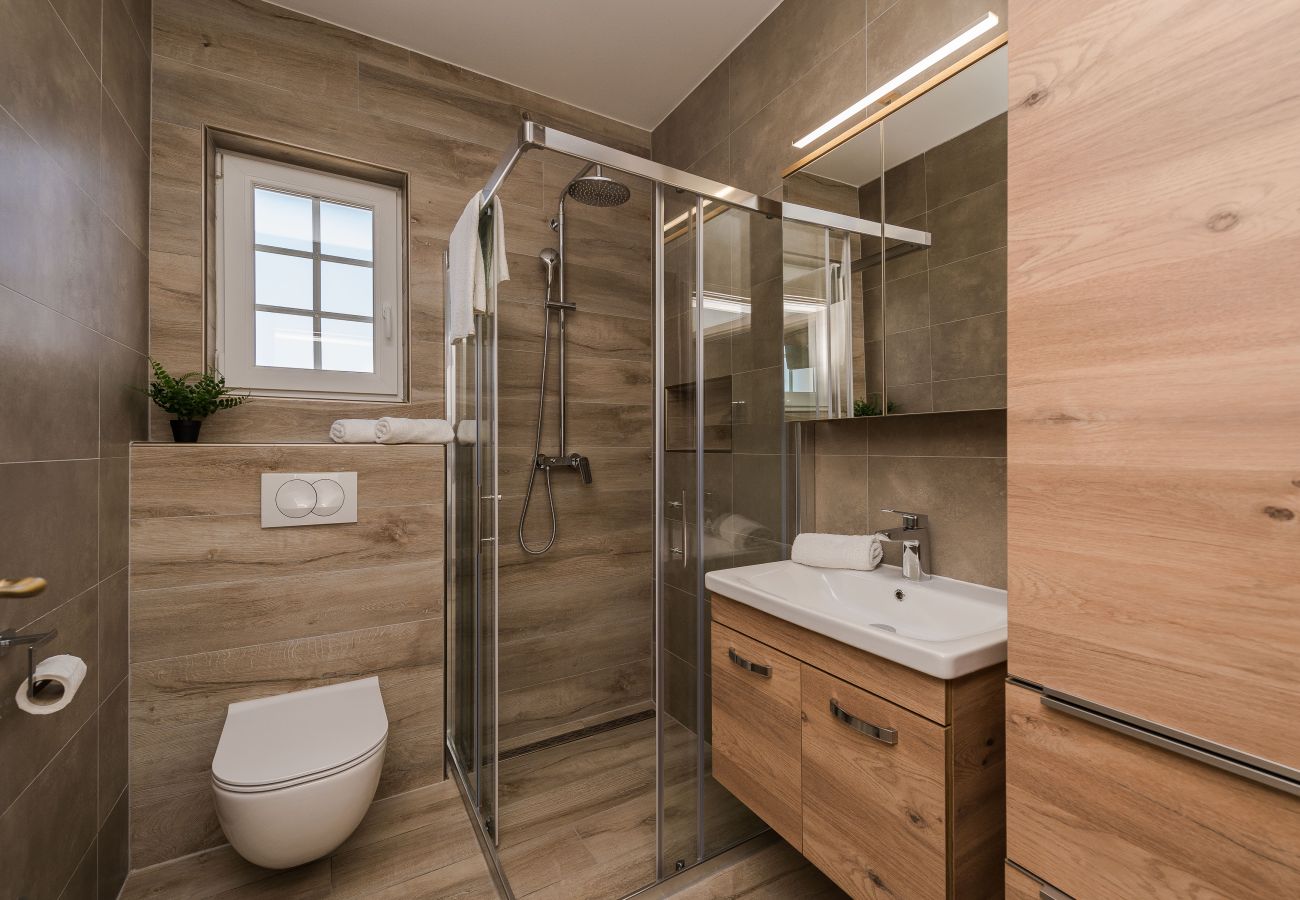 Villa in Privlaka - Villa Rea 1 with heated pool