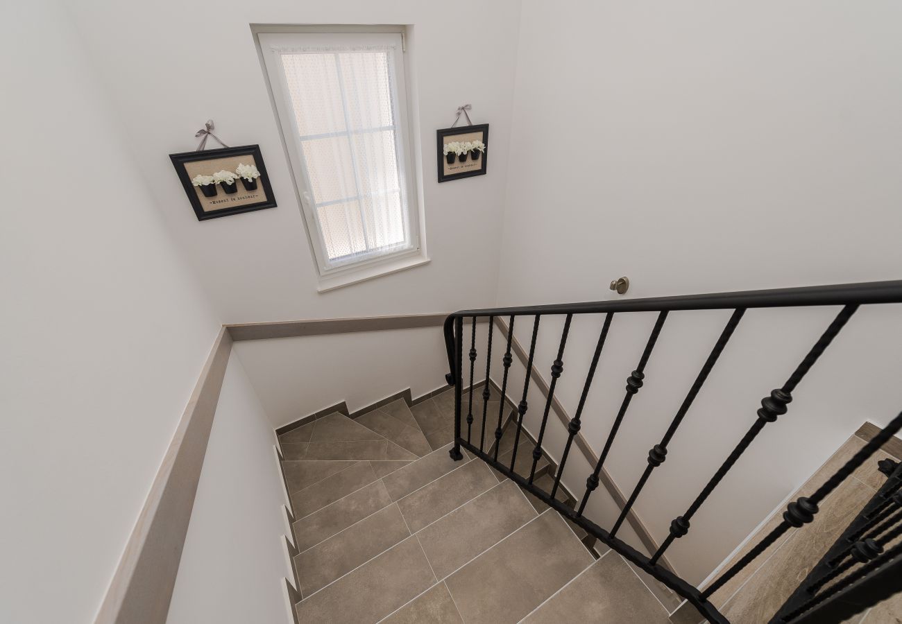 Villa in Privlaka - Villa Rea 1 with heated pool