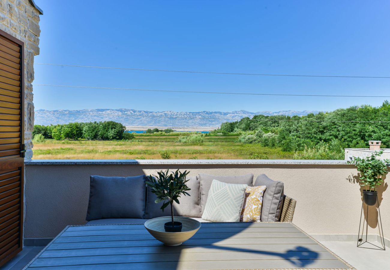 Villa in Privlaka - Villa Rea 3 with heated pool