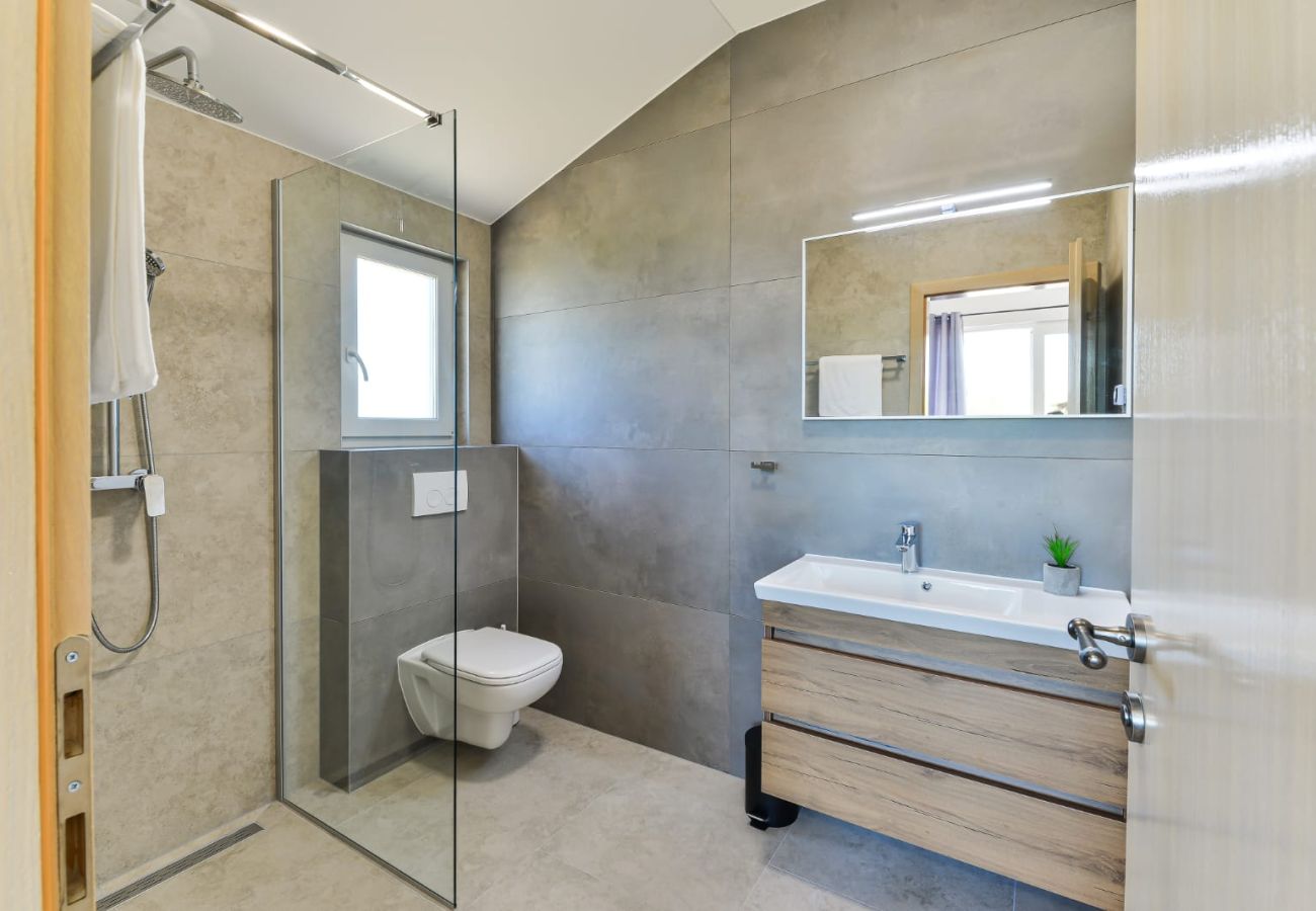 Villa in Privlaka - Villa Rea 3 with heated pool