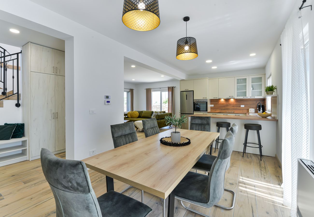 Villa in Privlaka - Villa Rea 4 with heated pool