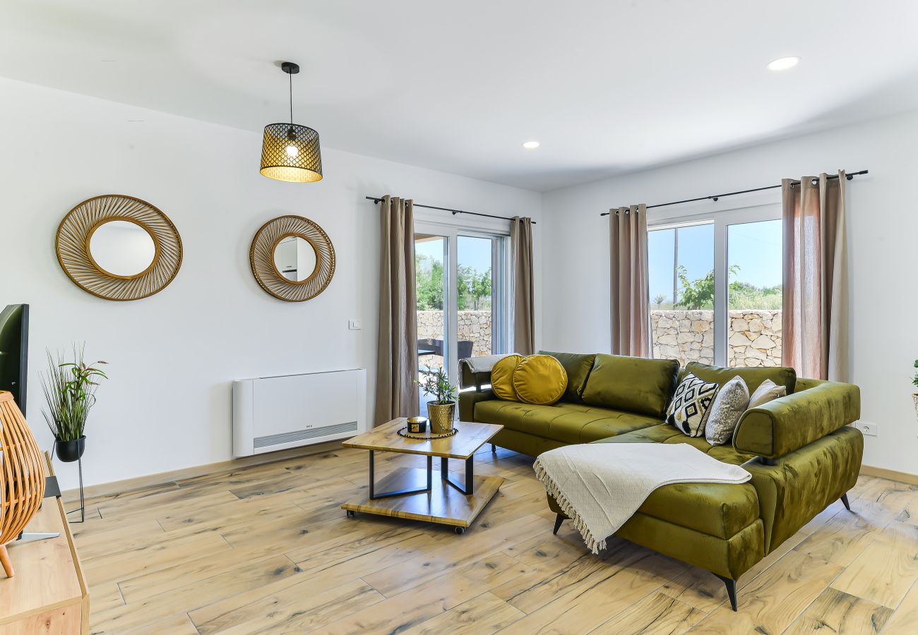 Villa in Privlaka - Villa Rea 4 with heated pool