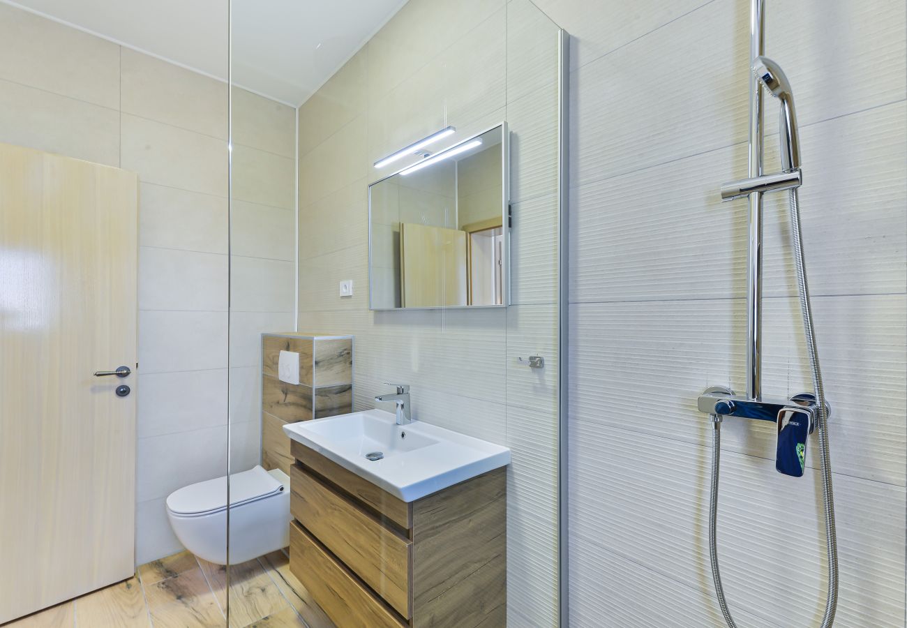 Villa in Privlaka - Villa Rea 4 with heated pool