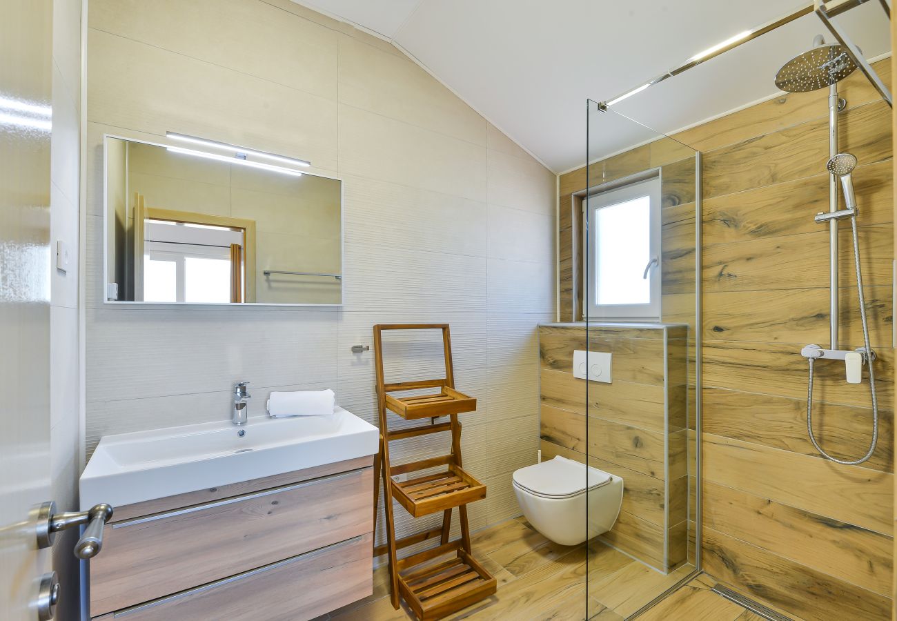 Villa in Privlaka - Villa Rea 4 with heated pool