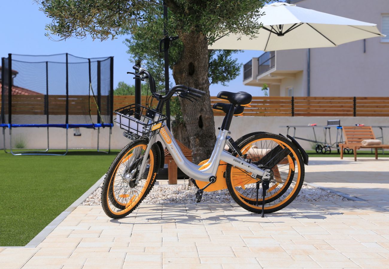 Villa in Debeljak - Villa Orkula with heated pool