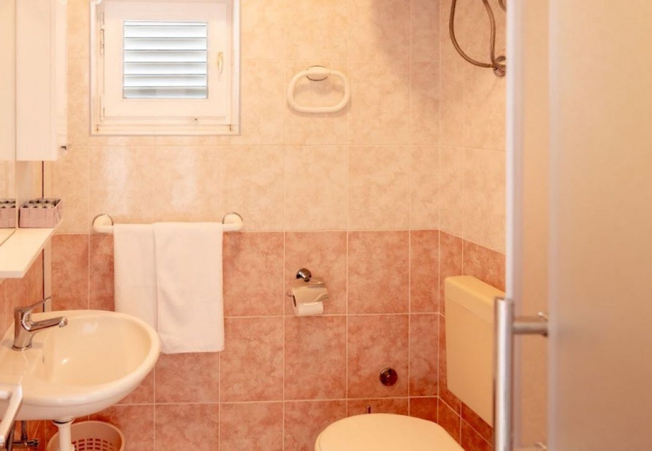 Apartment in Povljana - Apartment Luce 1