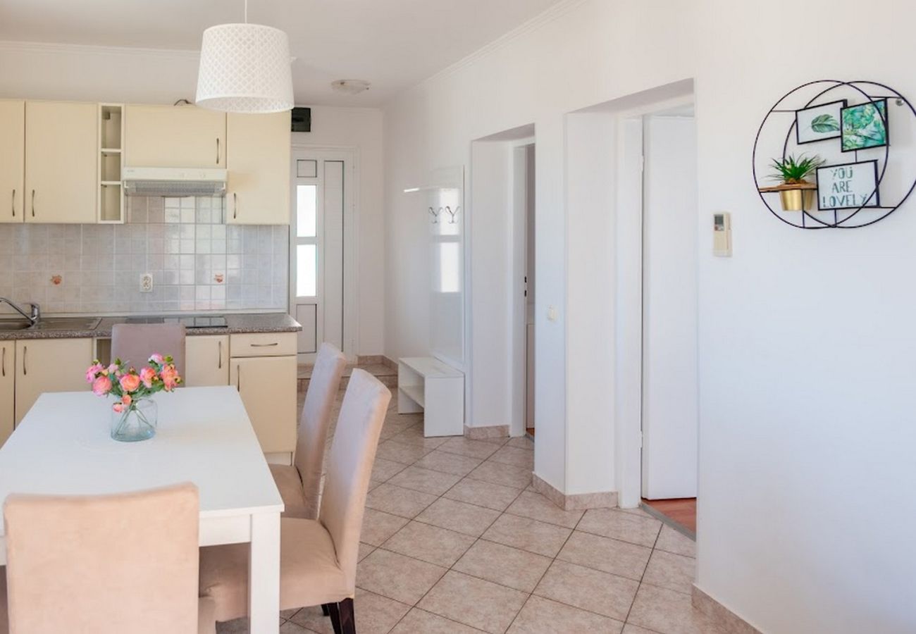 Apartment in Povljana - Apartment Luce 1