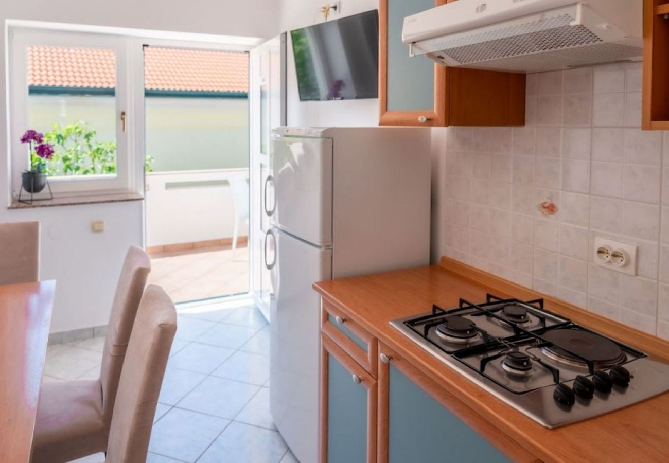 Apartment in Povljana - Apartment Luce 2