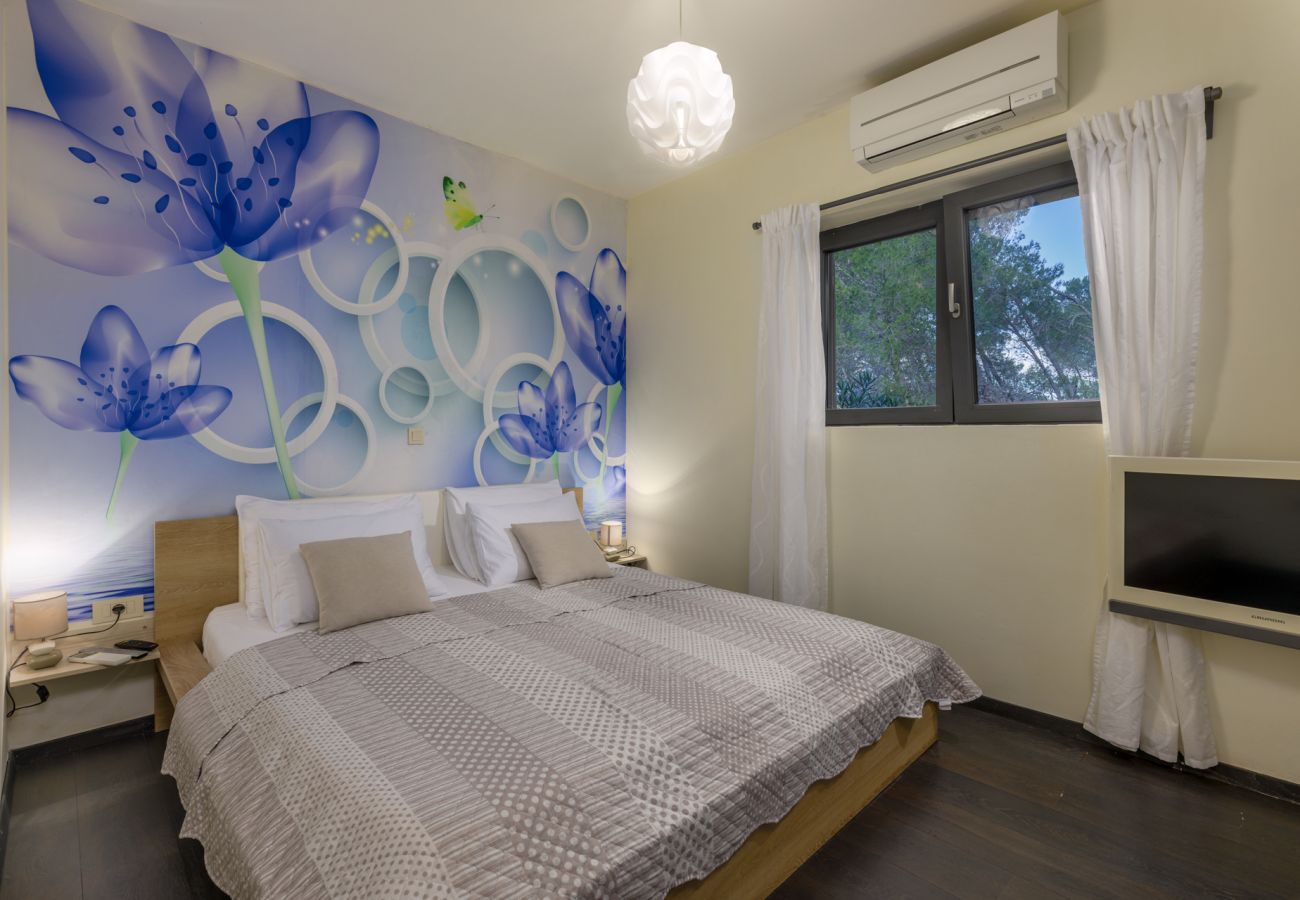 Villa in Barotul - Villa Bella with heated pool