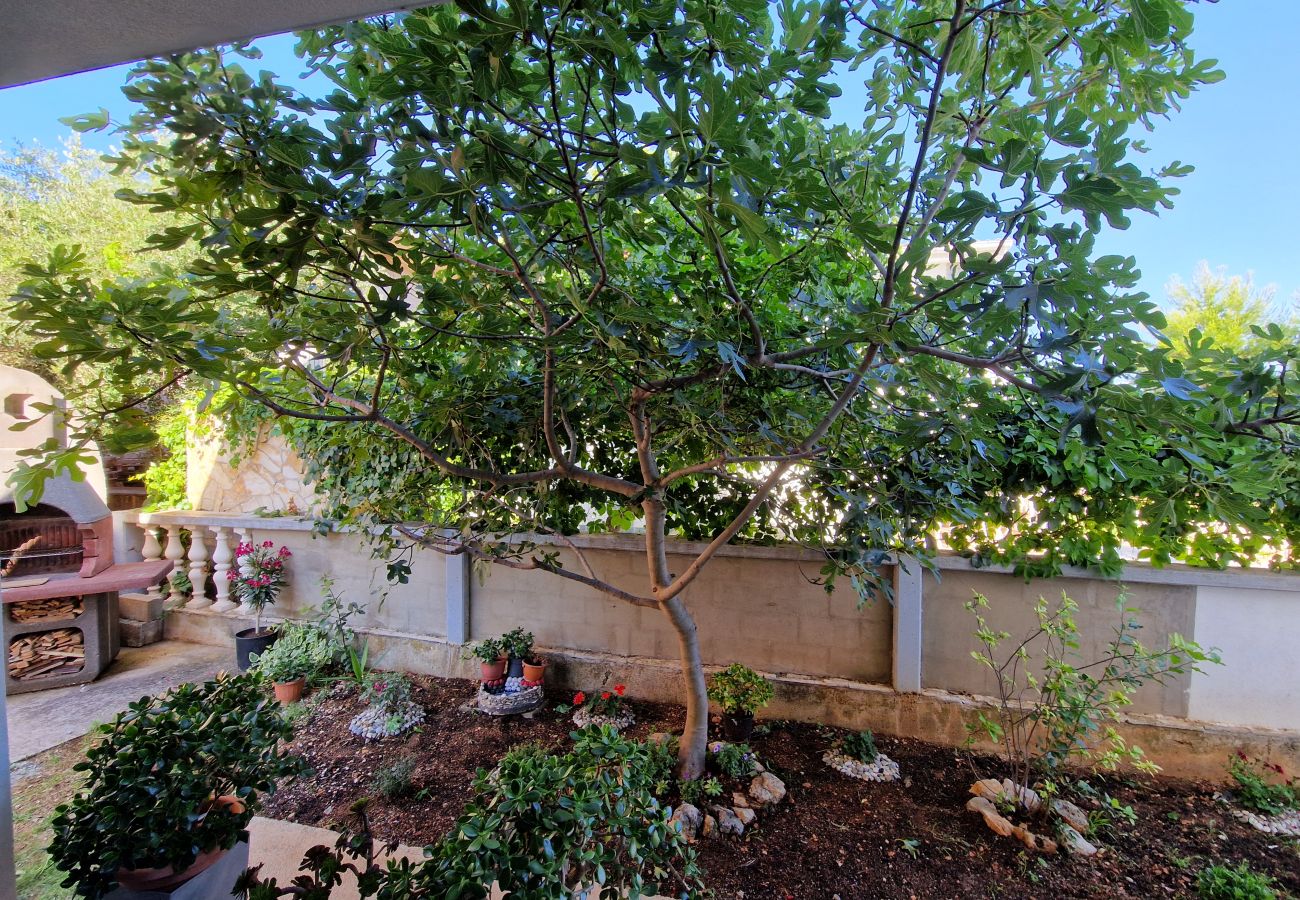 Apartment in Vir - Apartment Perla