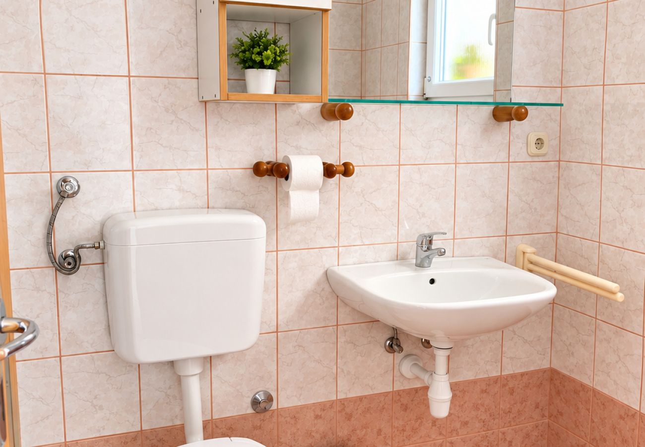 Apartment in Vir - Apartment Vir 1