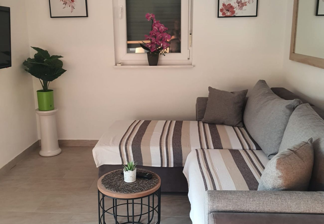 Villa in Rovanjska - Villa Green Horizon with sea view