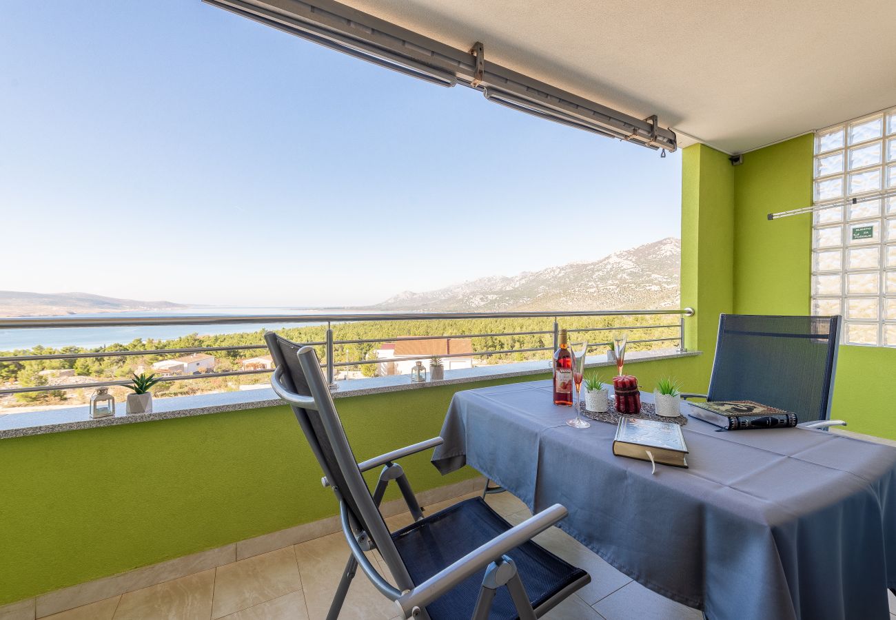 Villa in Rovanjska - Villa Green Horizon with sea view