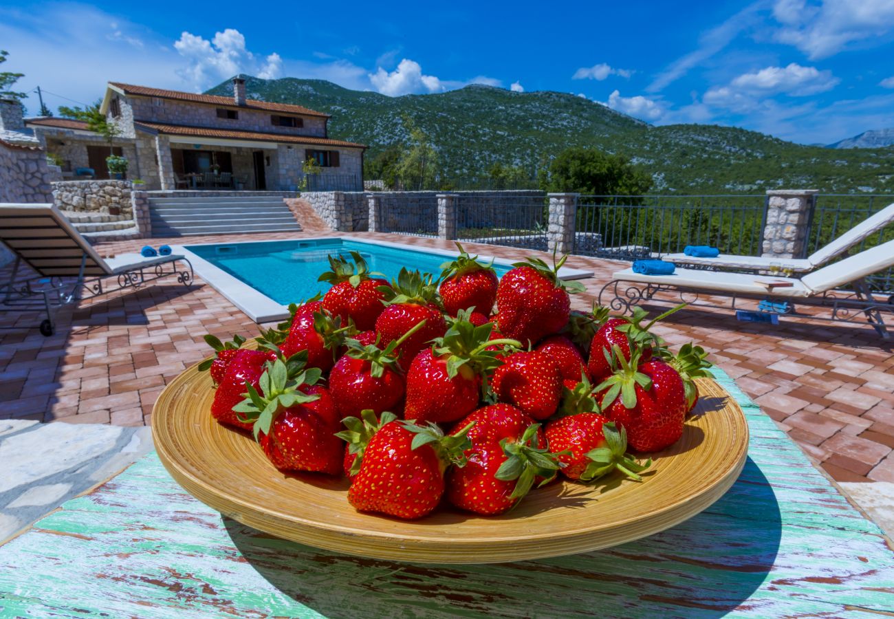 Villa in Duge Njive - Rustic Villa Fragola with heated pool