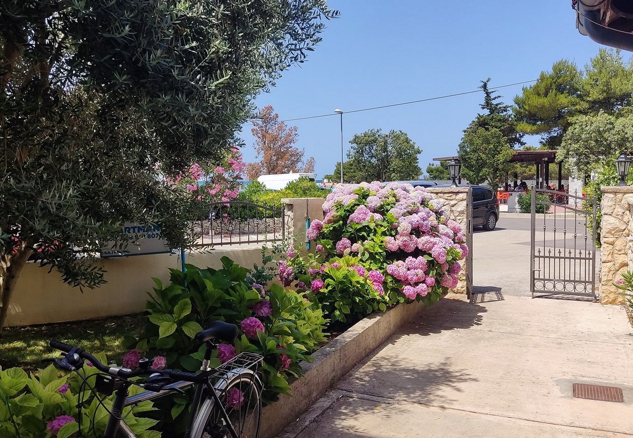 Apartment in Zaton - Beachfront apartment Mareo 3