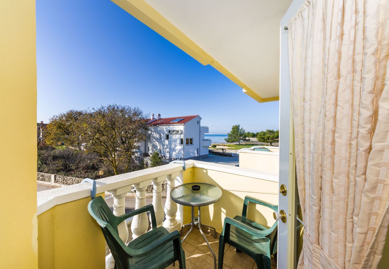 Apartment in Zaton - Beachfront apartment Mareo 4