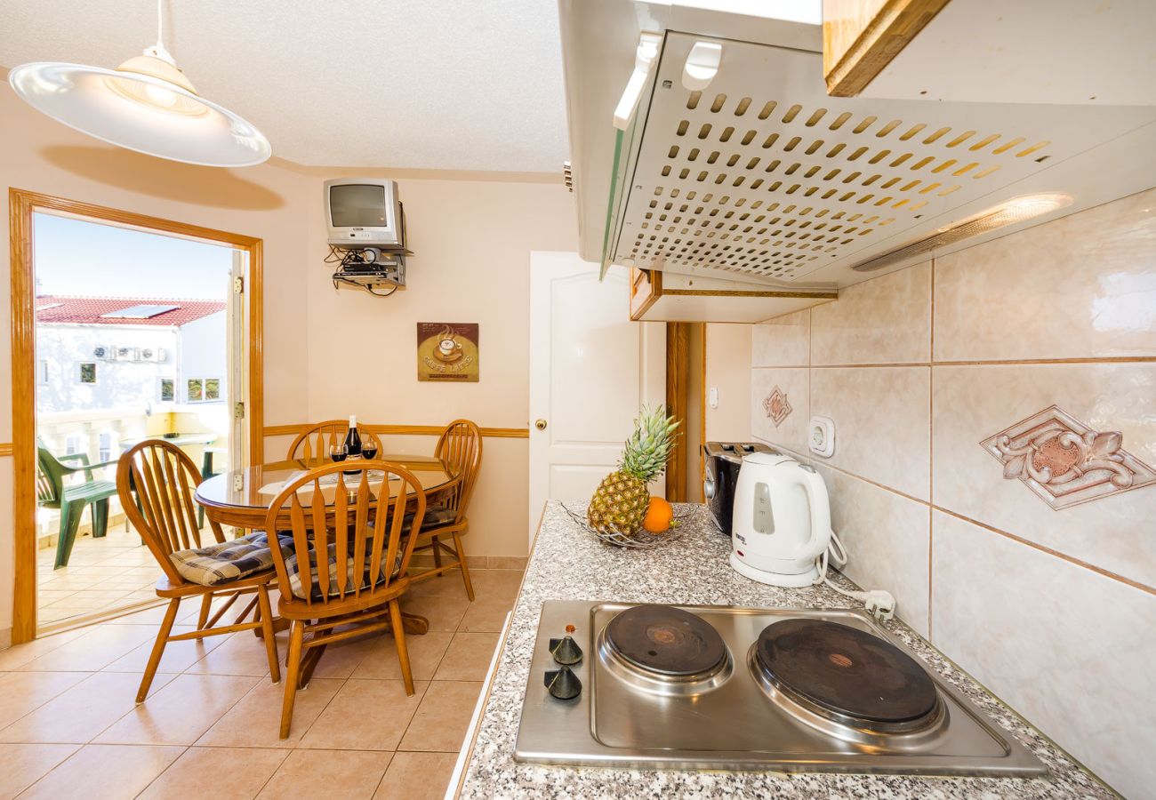 Apartment in Zaton - Beachfront apartment Mareo 4