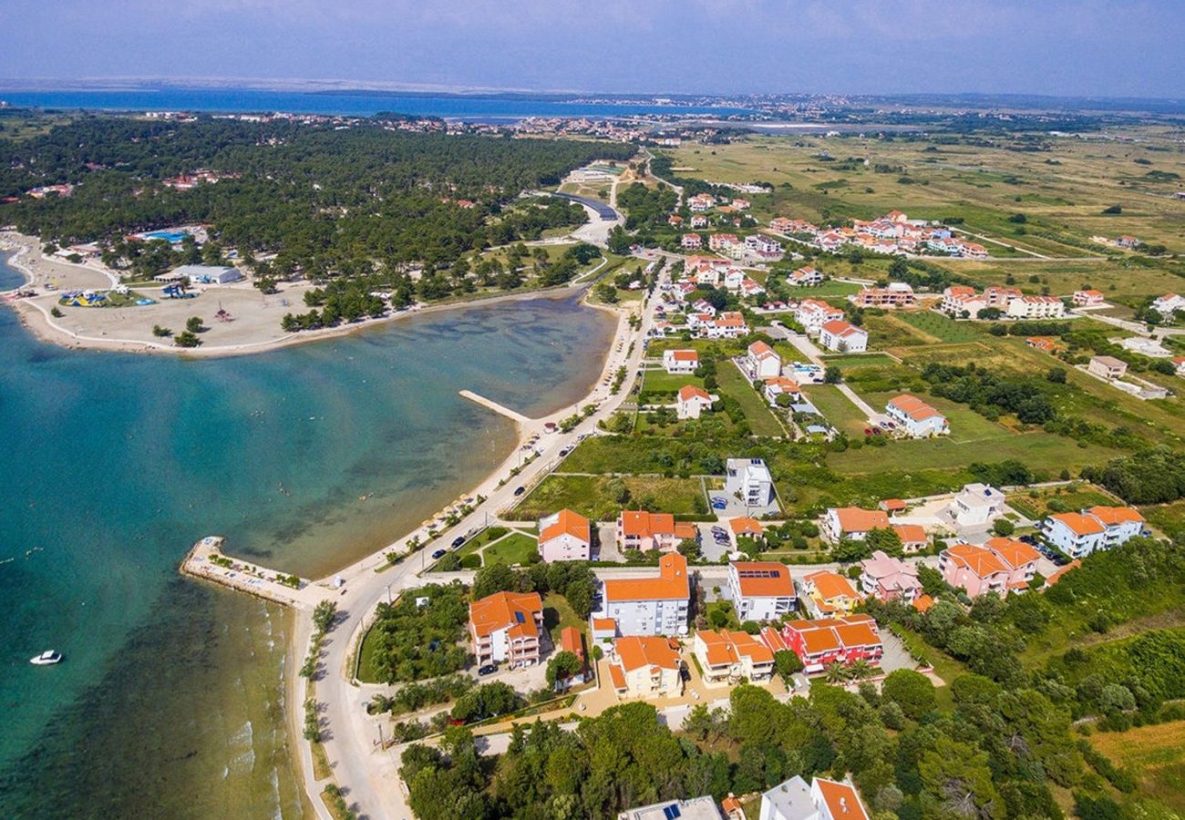 Apartment in Zaton - Beachfront apartment Mareo 4