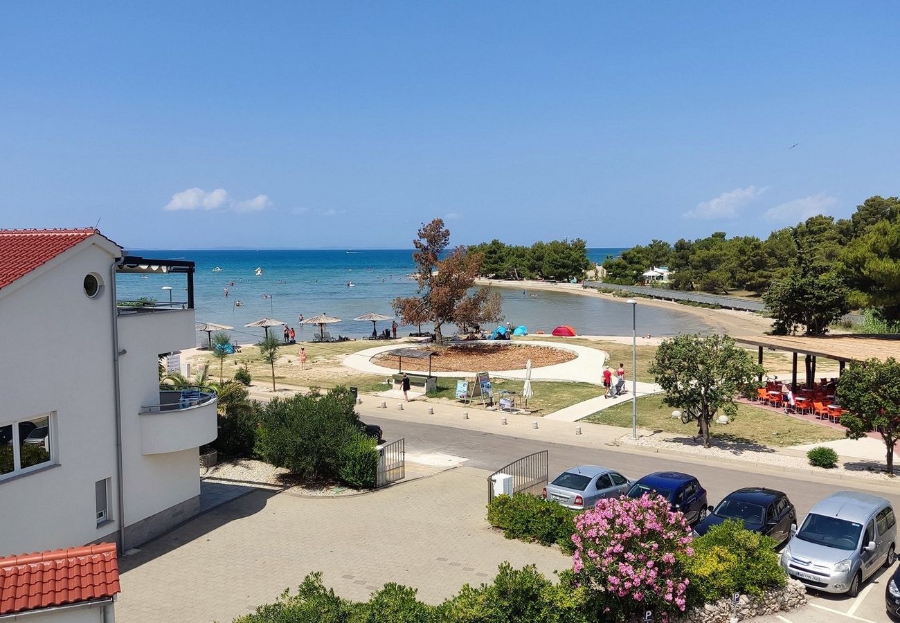 Apartment in Zaton - Beachfront apartment Mareo 4