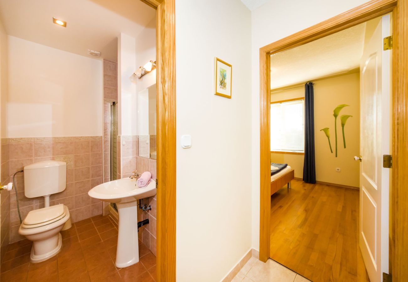 Apartment in Zaton - Beachfront apartment Mareo 5