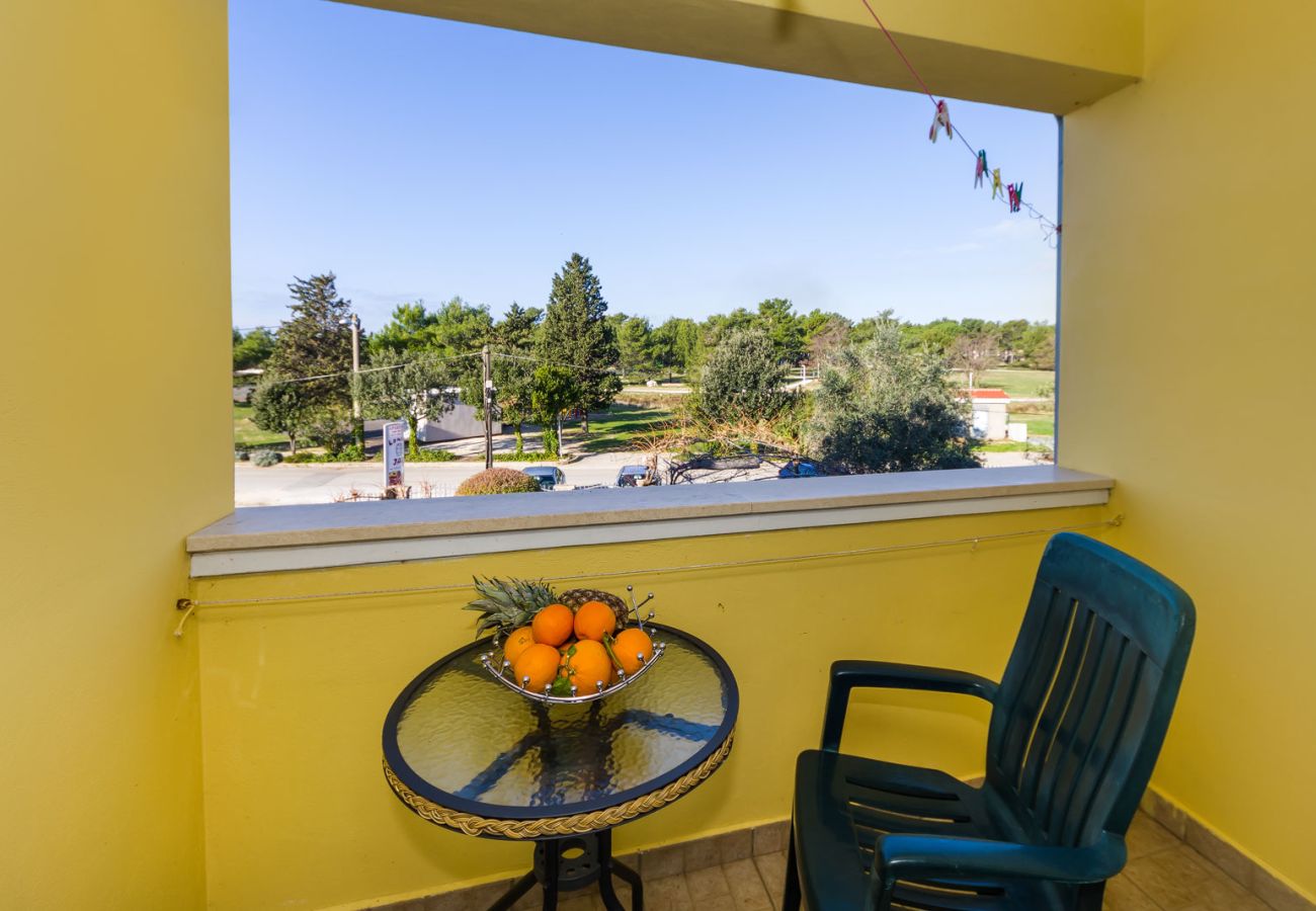 Apartment in Zaton - Beachfront apartment Mareo 6