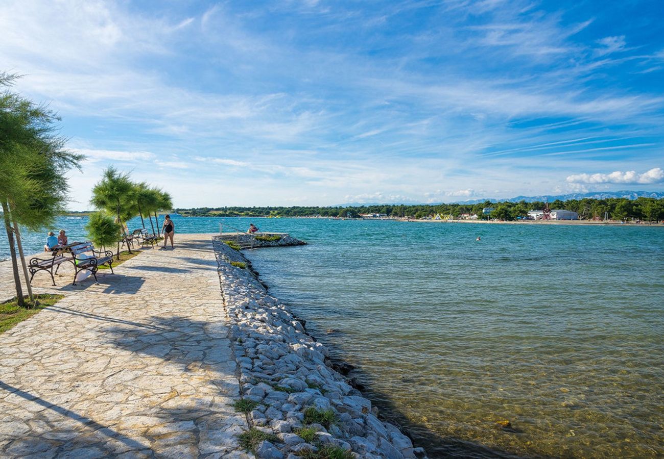 Apartment in Zaton - Beachfront apartment Mareo 6