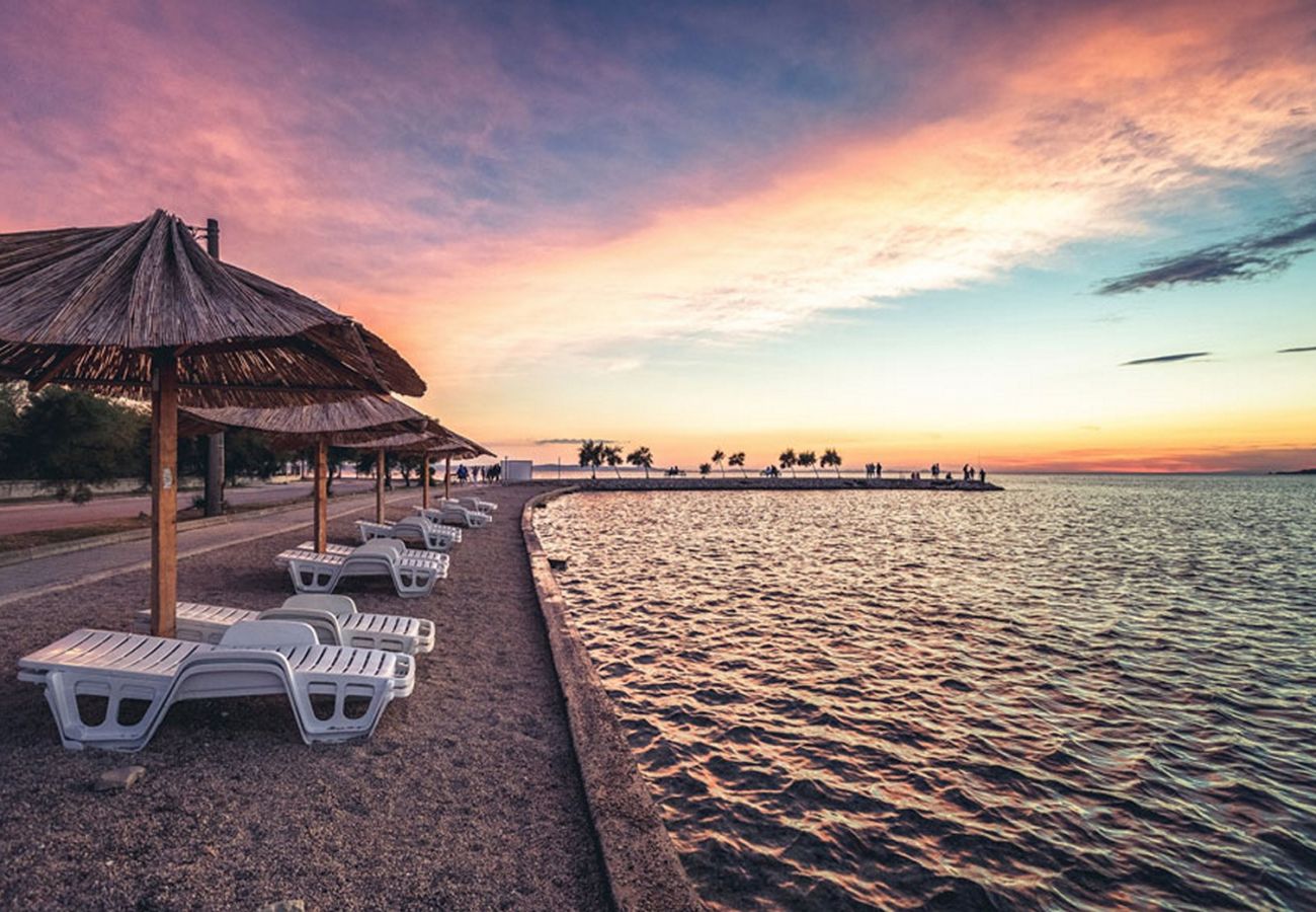 Apartment in Zaton - Beachfront apartment Mareo 6