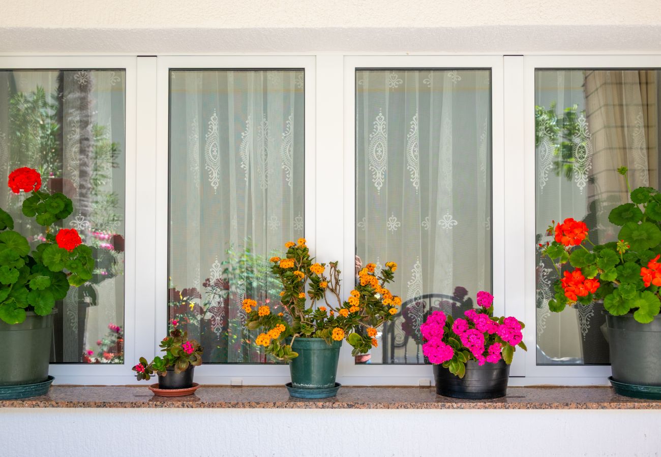 Studio in Povljana - Studio apartment Luce