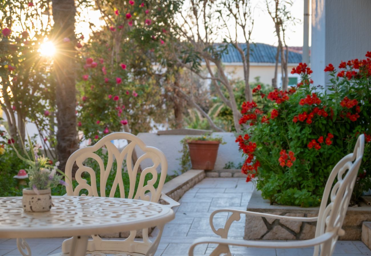 Studio in Povljana - Studio apartment Luce