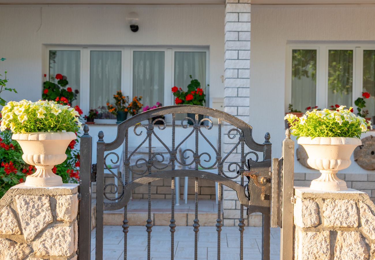 Studio in Povljana - Studio apartment Luce