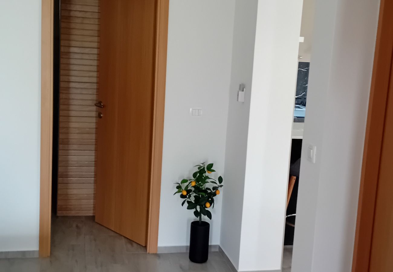 Apartment in Vir - Apartment Sanja Vir